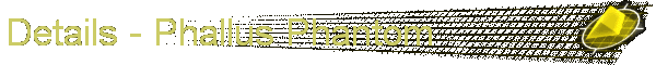 Details - Phallus Phantom