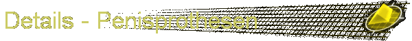 Details - Penisprothesen