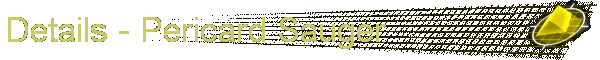 Details - Pericard Sauger